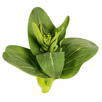 大伯农场自种露天周期生长青菜苔