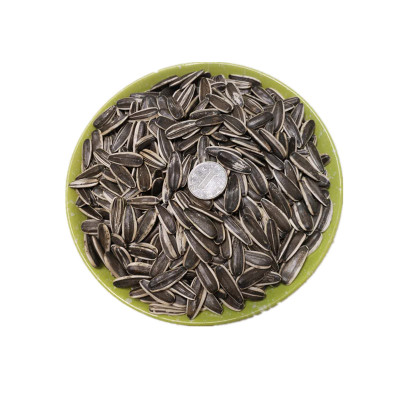 内蒙五原生葵花籽特大颗粒新货363精品原味瓜子2025年新货生瓜子