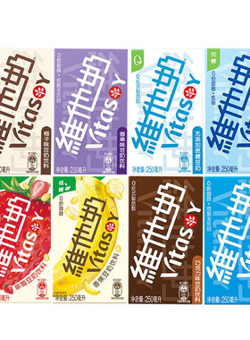 维他奶豆奶植物蛋白饮料营养早餐