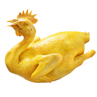 五指毛桃鸡正宗广东梅州客家特产熟食加热即食下酒菜盐焗小吃零食