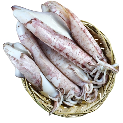 德裕隆潮汕鱼饭非遗老字号传统大鱿鱼大尼鱼饭新鲜低脂海鲜即食