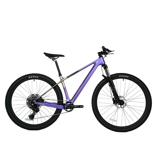 JAVA佳沃碳纤维山地自行车油压碟刹13变速越野硬尾高端XC林道CIMA