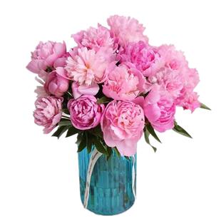 芍药鲜花牡丹重瓣花束云南鲜切花玫瑰百合插花卉情人节基地母亲节