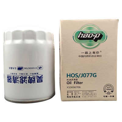 云内长效6万KM机滤X251313
