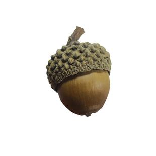 橡树果橡果饰品大橡子果橡实带帽幼儿园儿童装饰摆件挂饰小物件