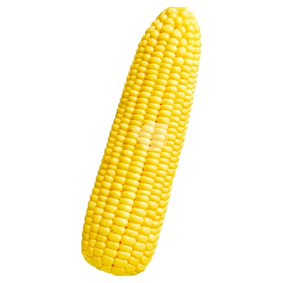 春季超甜水果玉米玉米种子超甜