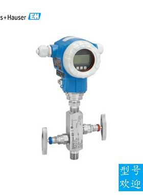 议价eh压力变送器PMC71-ABA1E2GAAAA数字式恩德斯豪斯气液体测量