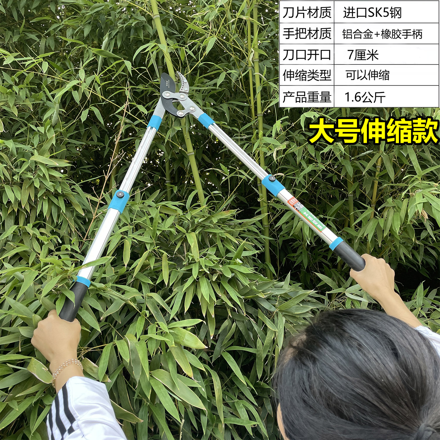 剪树枝专用大剪刀果树粗枝修剪专用伸缩省力大力修枝剪葡萄花桃i.