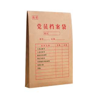 10个党员档案袋牛皮纸大号a4发展党员档案袋加厚加宽大容量4cm资料袋档案袋定制定做logo投标财务收纳办公