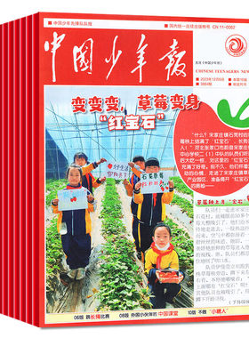 单月任选中国少年报纸