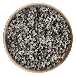 中药材 黄荆子 50克 可打粉 满包邮