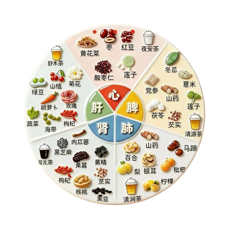 亚克力磁吸养生冰箱贴五脏六腑