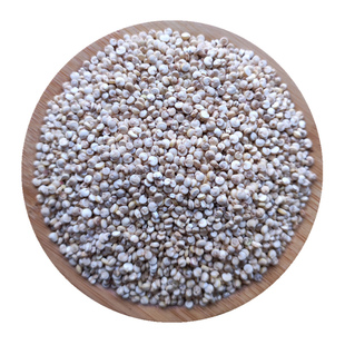 甘肃特产会宁农家自产白藜麦500g高原旱地种植新货五谷杂粮熬粥