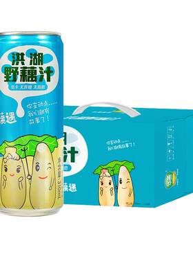 华贵洪湖莲藕汁饮料特产礼盒
