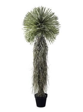 仿真橄榄树盆景大型假植物摆件