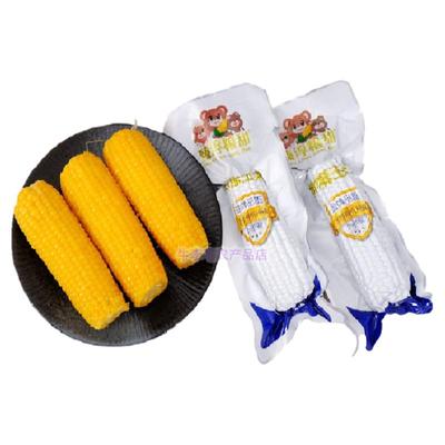 黑龙江臻淳粮甜美味小黄糯玉米棒