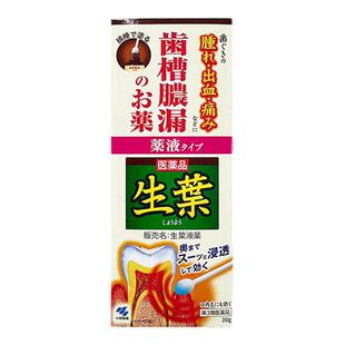 小林制药生叶口内涂抹药牙周炎肿胀牙龈药水齿槽脓漏止出血涂抹膏
