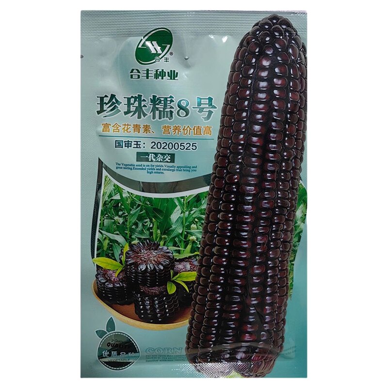 黑甜糯珍珠糯8号黑玉米种子紫玉米种籽早熟高产黑甜糯玉米种籽