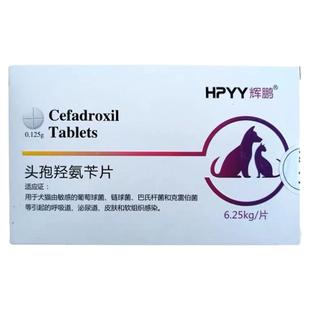 辉鹏头孢羟氨苄片消炎药宠物伤口感染外伤皮肤感冒呼吸道泌尿炎症