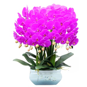 高档仿真花大盆保湿手感蝴蝶兰家居客厅装饰电视柜玄关冰箱摆设花