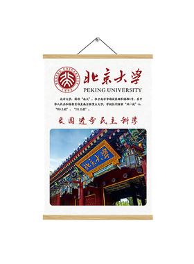 大学名校挂画985211学校简介清华北大国防科技大班级教室装饰挂画