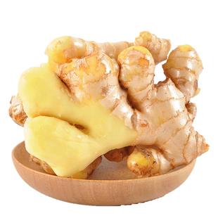 2025新姜云南小黄姜老鲜现挖生姜5斤老沙土种植包邮嫩仔姜干整箱