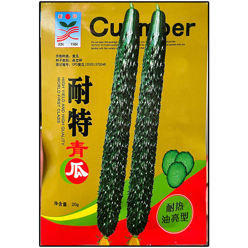 黑特亮黑油亮型青黄瓜蔬菜种子