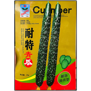 黑特亮黑油亮型黄瓜青黄瓜种子孑籽杂交高产胡瓜刺王勤青唐瓜春秋