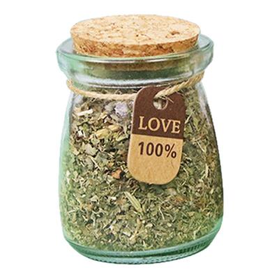 2023年实惠新店铺可食用猫薄荷