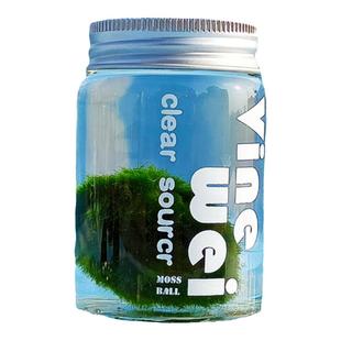 mossball绿藻球生态瓶水生绿植创意迷你水培植物水藻球水底海藻球