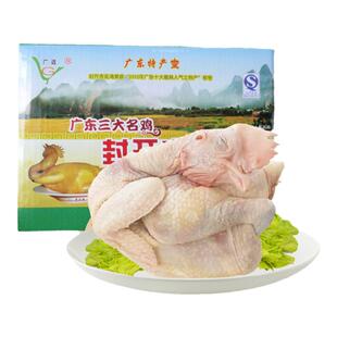 广远杏花鸡散养皮薄肉香低脂健康营养真空包装原味热销推荐好产品