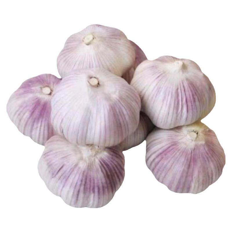 开封25年新干大蒜头可种3/5斤