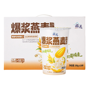 稀遇爆浆燕麦低温酸奶鲜奶发酵巴氏杀菌热处理谷物养生饱腹新疆产