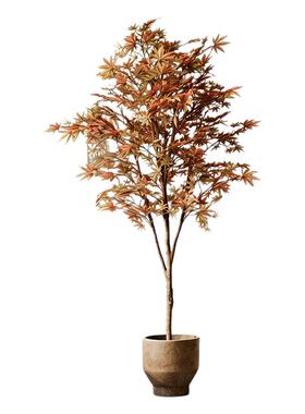 仿真植物枫树红枫假树橱窗大型