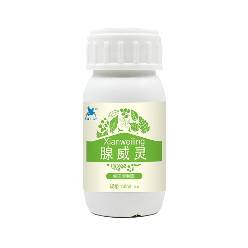 西安凯鸽腺威灵鸽子不消化不吃精神差粪便不成形鹦鹉鸟鹦鹉鸽子用