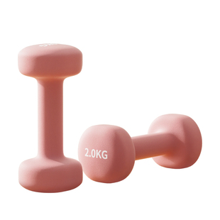 哑铃女士健身家用运动器材实心铸铁杠铃女生青少年小哑铃2kg一对