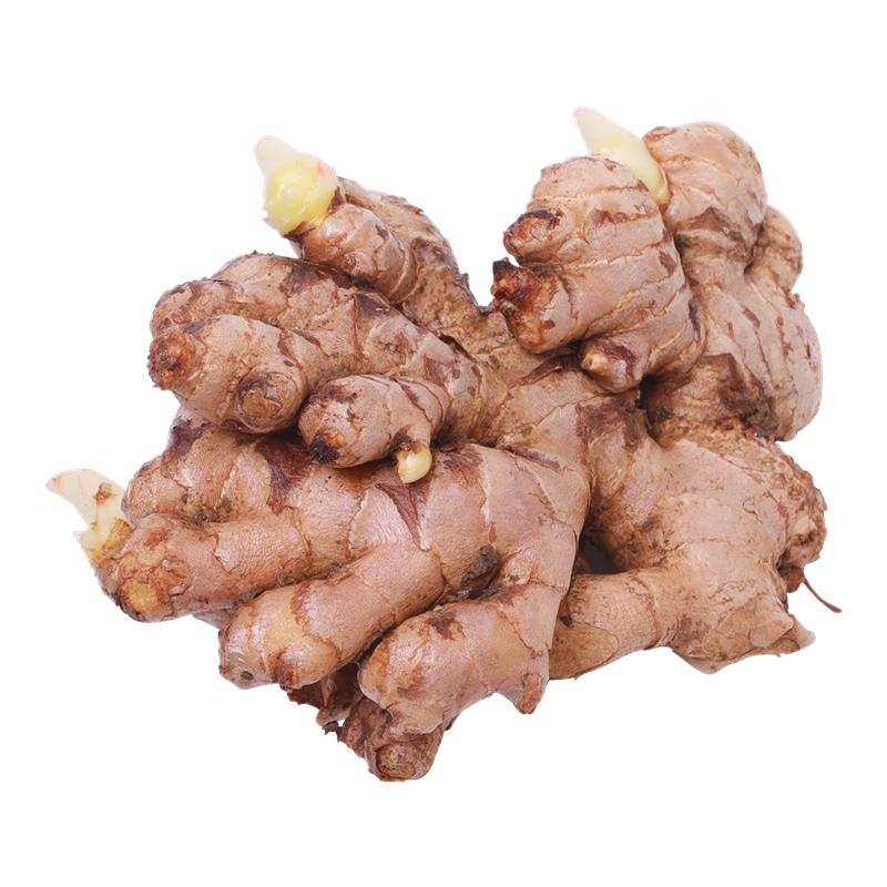 新鮮云南5斤現(xiàn)挖包郵小黃姜