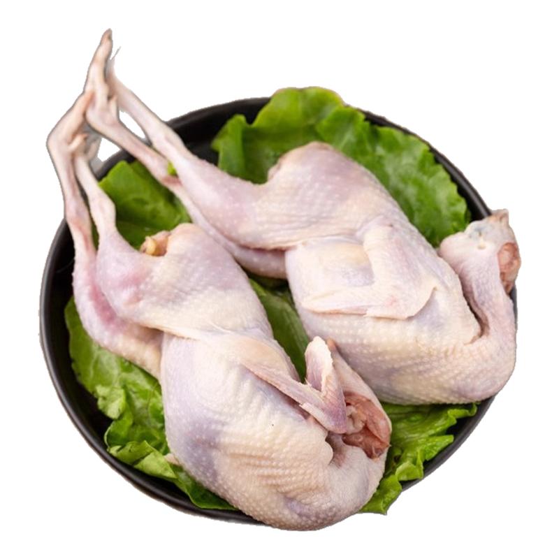 新鮮鵪鶉特大母鵪鶉肉冷凍鮮貨活體現(xiàn)殺白條燉湯燒烤生骨肉40只