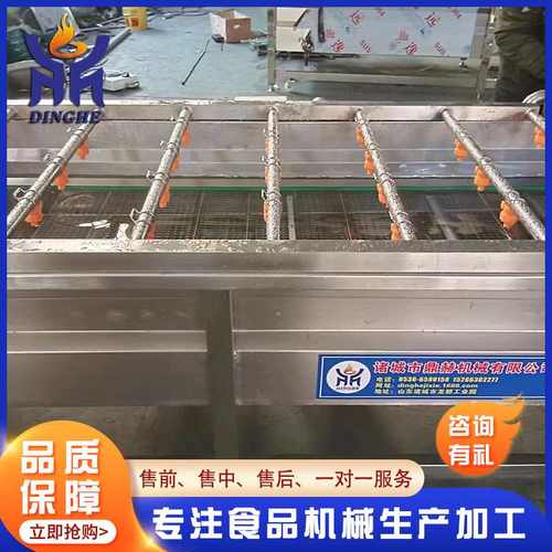 厂家供应果蔬清洗机 商用大型清洗机线 气泡式清洗机线