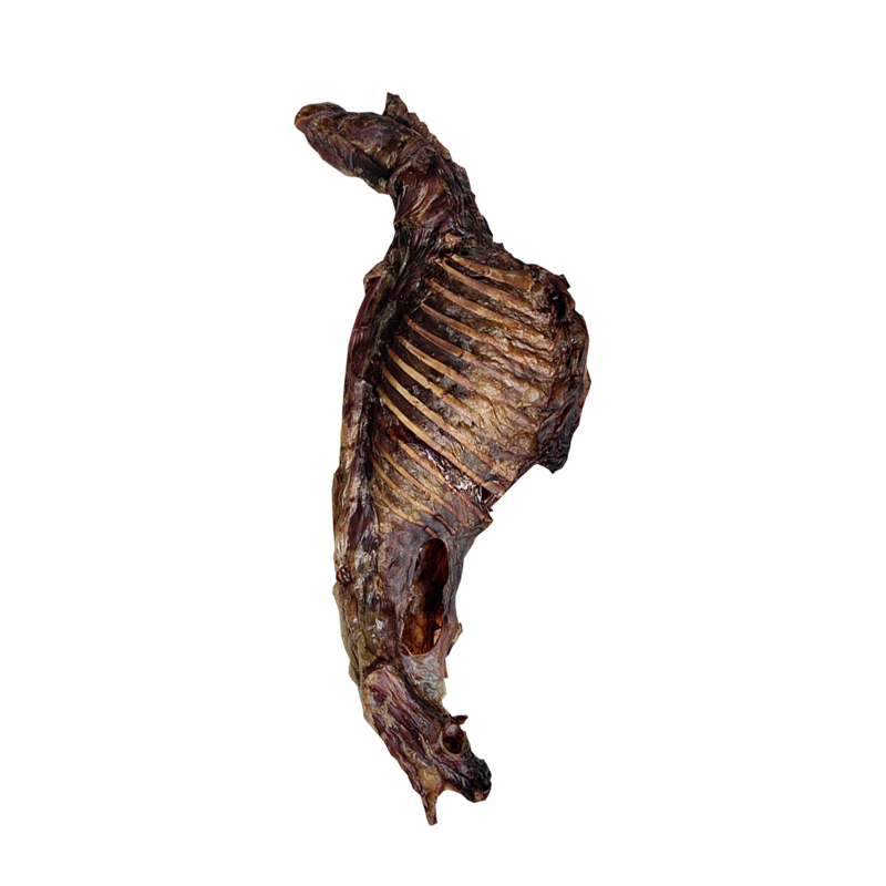 宠物狗狗零食羊排羊腿磨牙棒大骨头金毛大中小型犬幼犬专用狗骨头