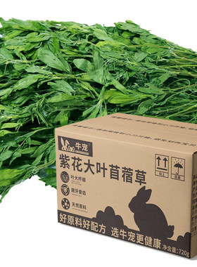 牛宠大叶苜蓿高复购兔粮兔兔干草