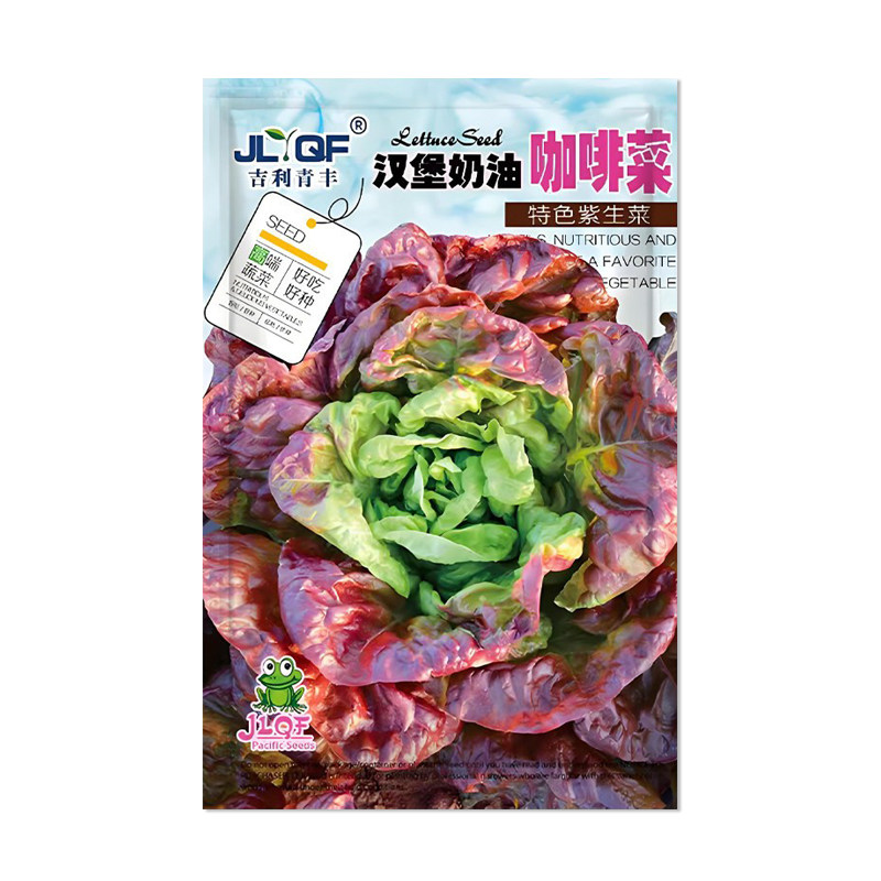 吉利青丰汉堡奶油咖啡菜种子
