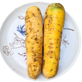 新疆黄萝卜黄胡萝卜黄心罗卜新鲜带泥农家自种手抓饭专用3斤5斤10