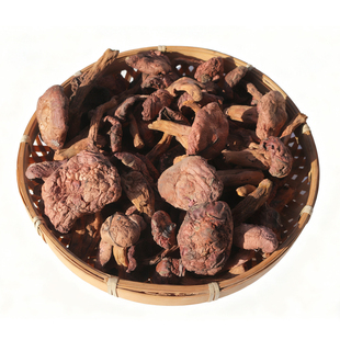 红蘑东北野生蘑菇红松伞干货长白山肉蘑农家晾晒松蘑鸡血蘑红蘑菇