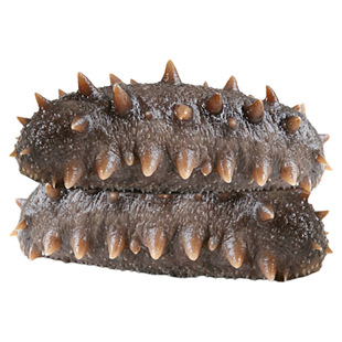 海参开袋即食大连鲜活野生辽参非干货刺参独立包装真空袋海参