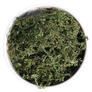 野生新鲜晒干鹅不食草500g正品无硫中药材饿仔不食草可磨粉末天然