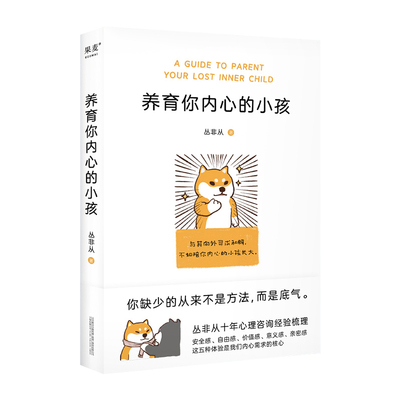 养育你内心的小孩 丛非从十年心理咨询梳理 疗愈你的内在小孩 关于安全感价值感亲密感 心理学入门基础书籍 做自己的心理医生