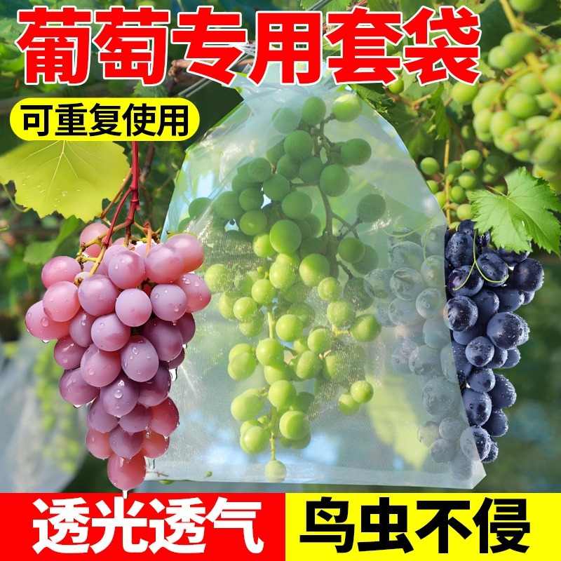 葡萄专用套袋水果防虫防鸟红提子育袋纸袋蓝莓樱桃黄皮果龙眼荔枝