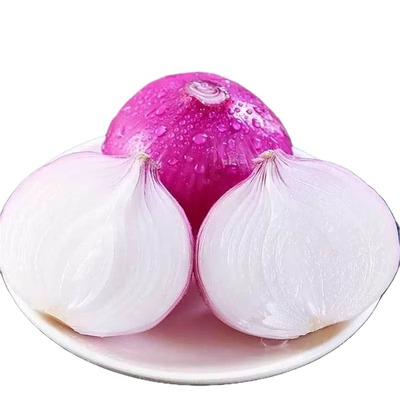 紫皮水果洋葱甜味生吃新鲜蔬菜不辣红皮大圆葱头批发
