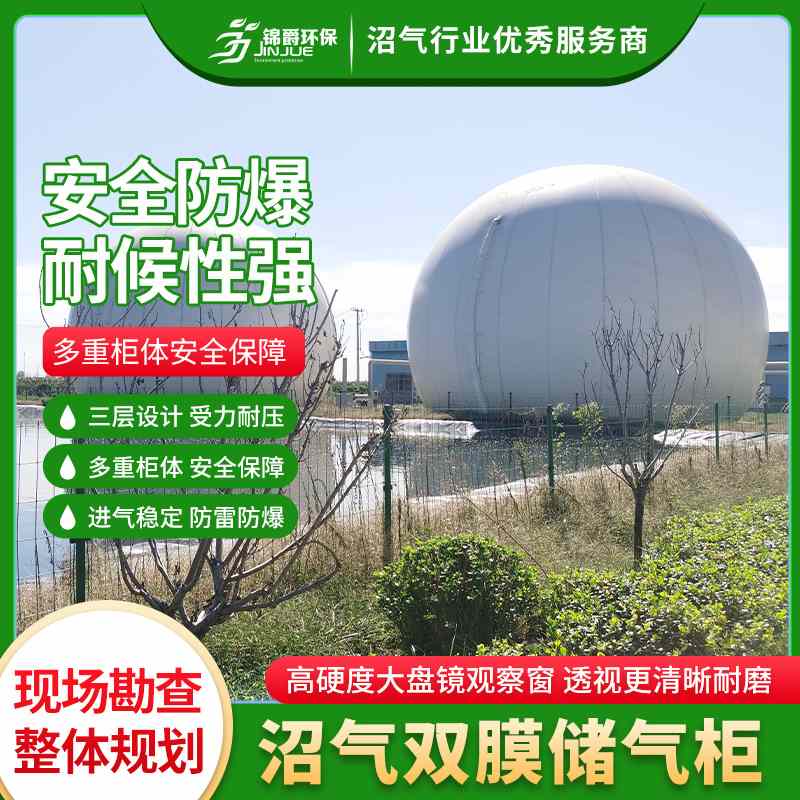 养殖场双膜气柜污水处理厂双膜储气柜厌氧沼气储存罐高效存储